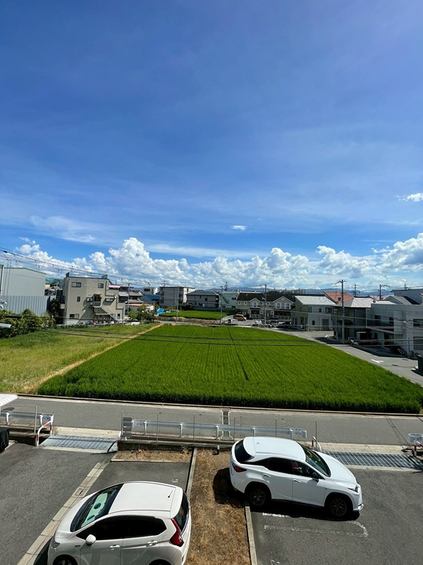 15/25 その他画像