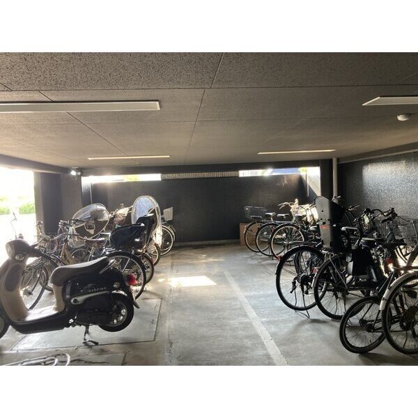 17/29 その他画像