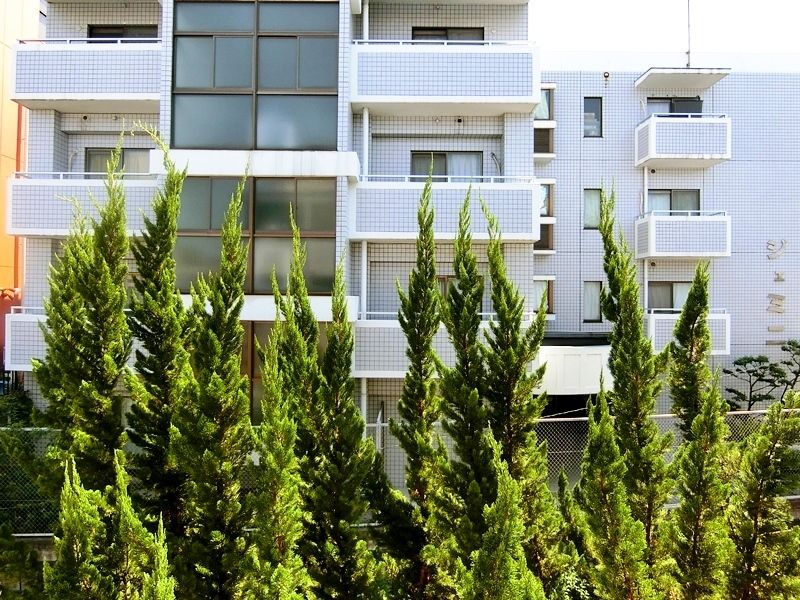 12/26 その他画像