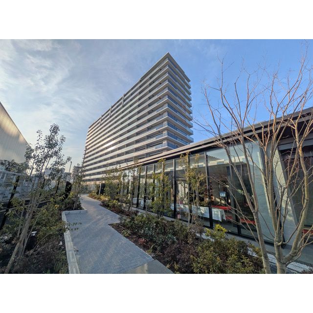 7/17 その他画像