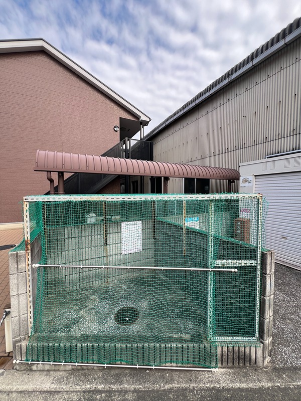 16/25 その他画像