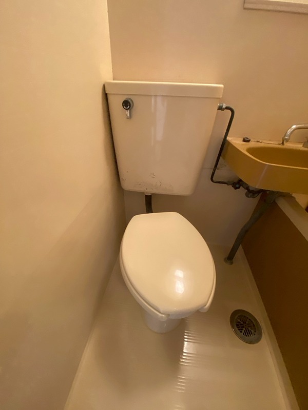 10/29 トイレ