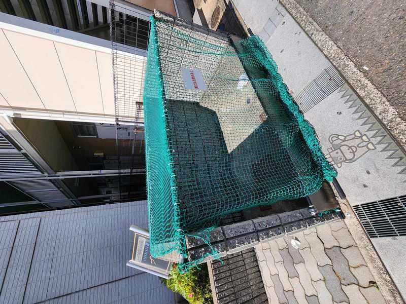 11/15 その他画像