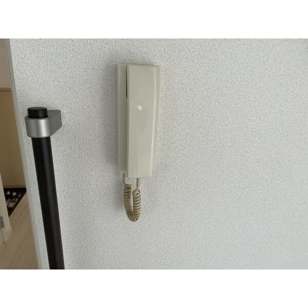 25/29 その他画像