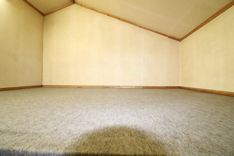 11/17 その他画像