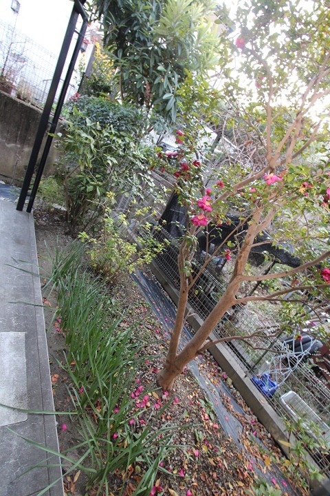 24/26 エントランス