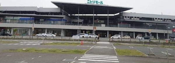 12/21 その他画像