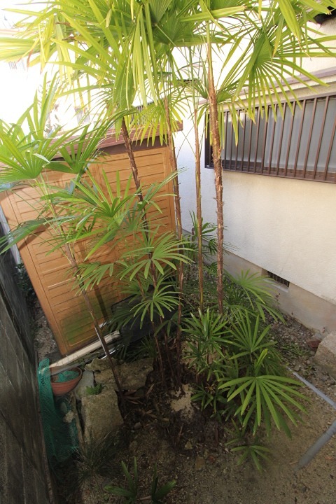 18/24 バルコニー