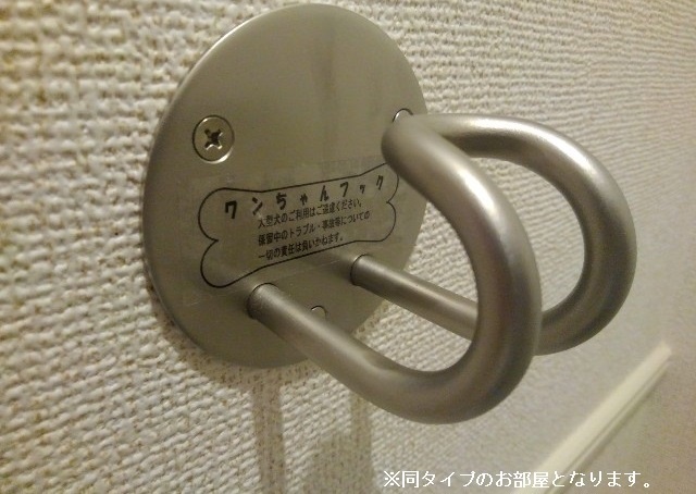 20/20 その他画像