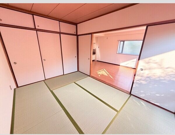 11/19 その他画像