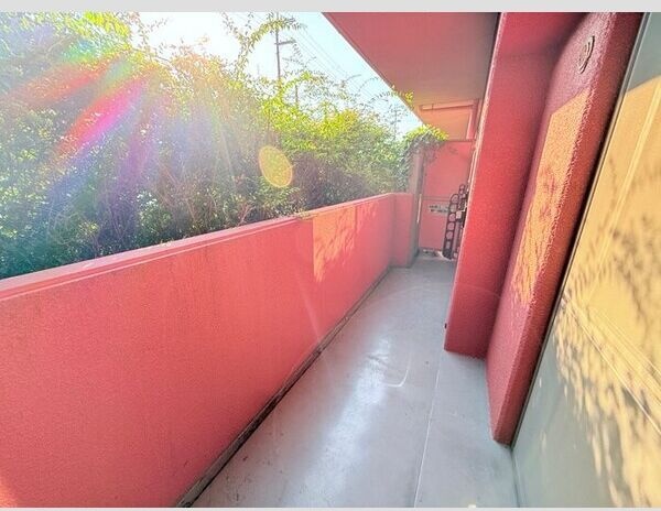 9/19 バルコニー