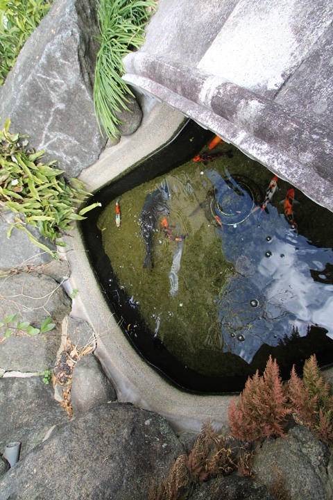 26/28 その他画像