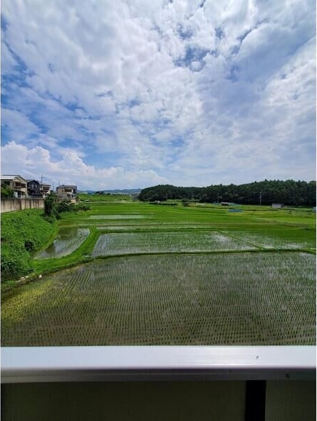 11/15 その他画像