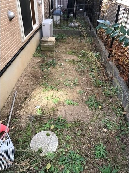 11/13 その他画像