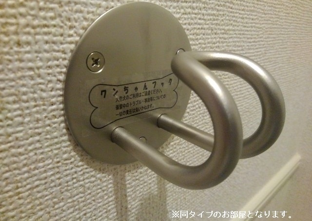 8/20 その他画像