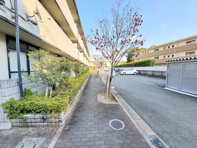 13/18 その他画像