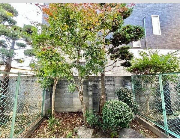 13/19 その他画像