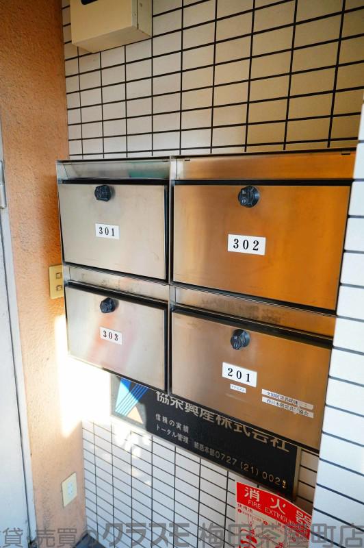 20/30 その他画像