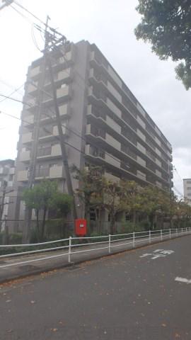 1/15 外観