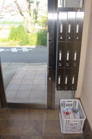 17/23 その他画像