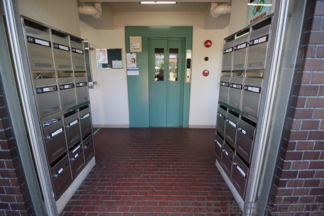 16/24 その他画像