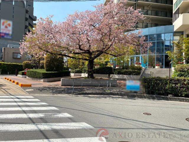 6/16 その他画像