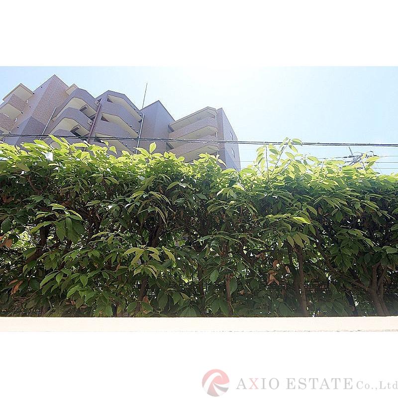 25/30 その他画像