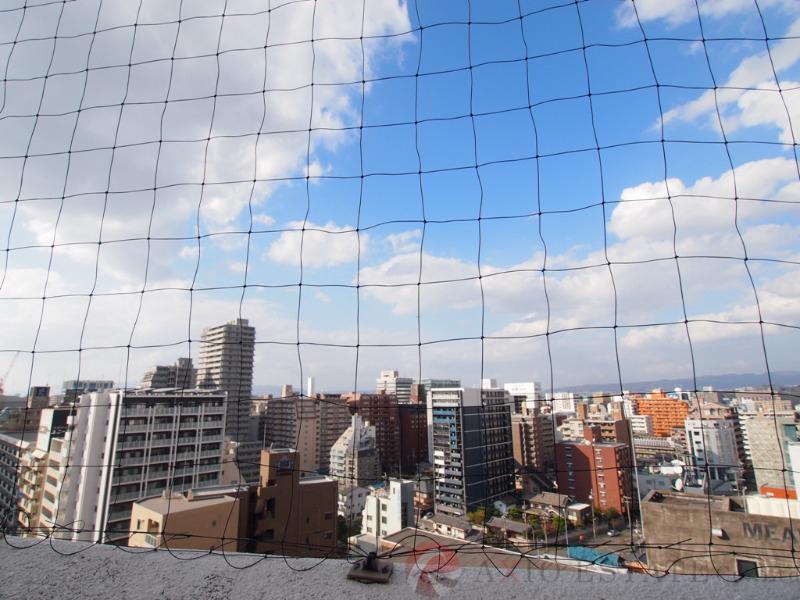 28/30 その他画像