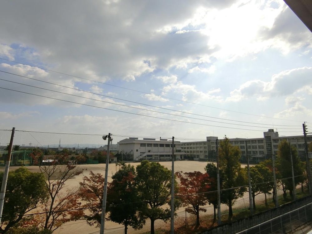 19/30 その他画像