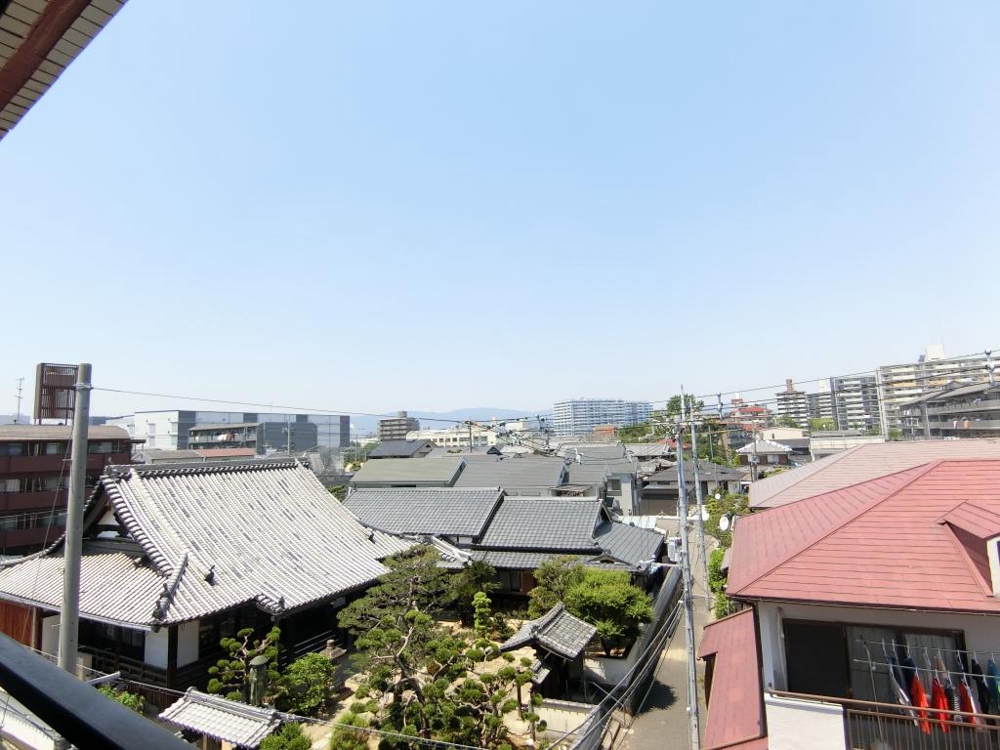 20/30 その他画像