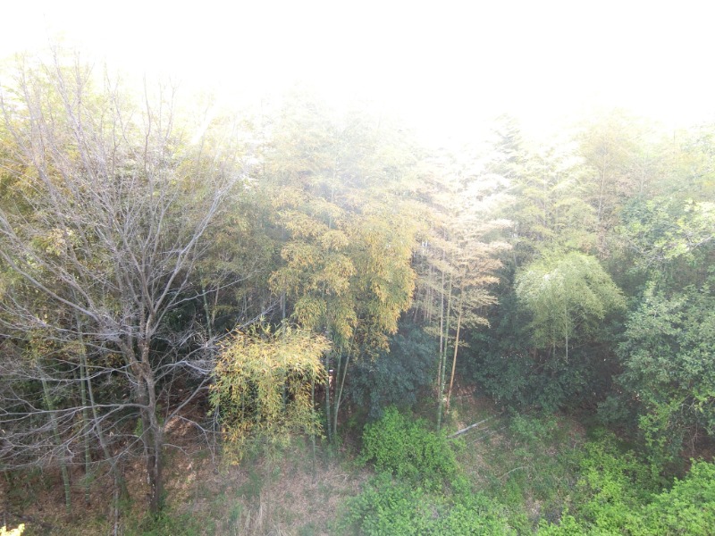 18/28 その他画像