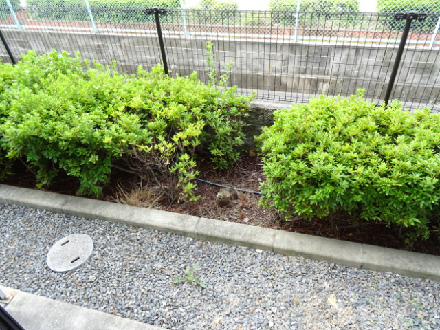 17/30 バルコニー