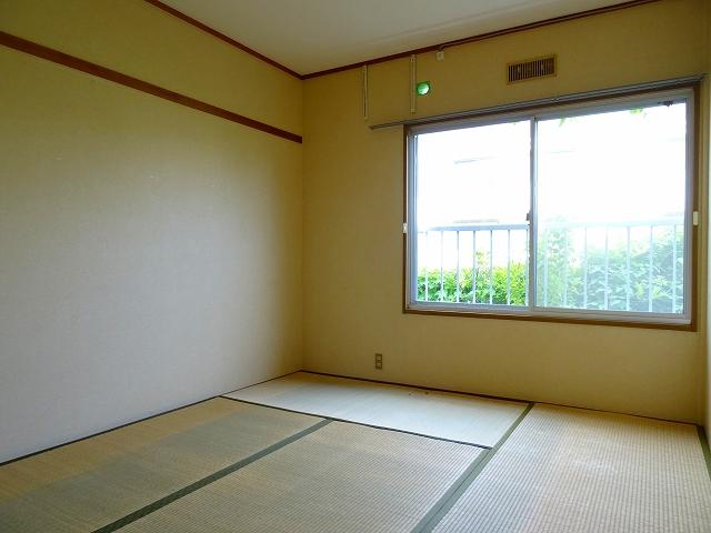 29/30 その他画像