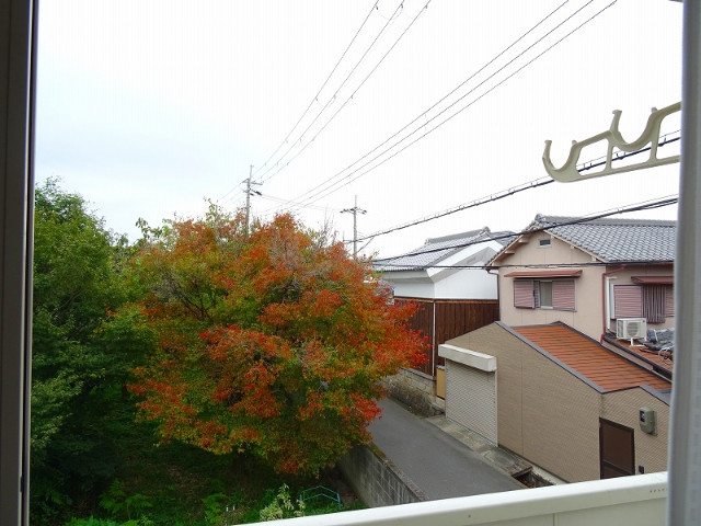 20/30 その他画像