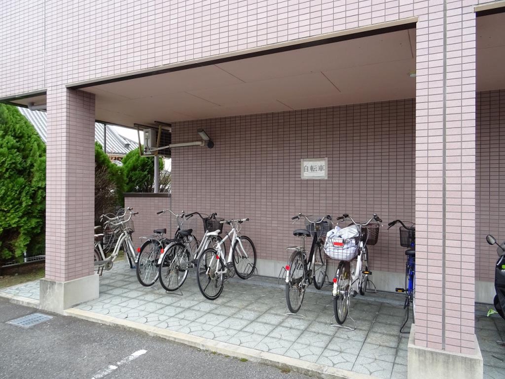 その他画像