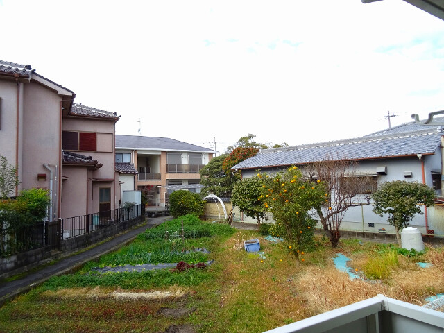 20/30 その他画像