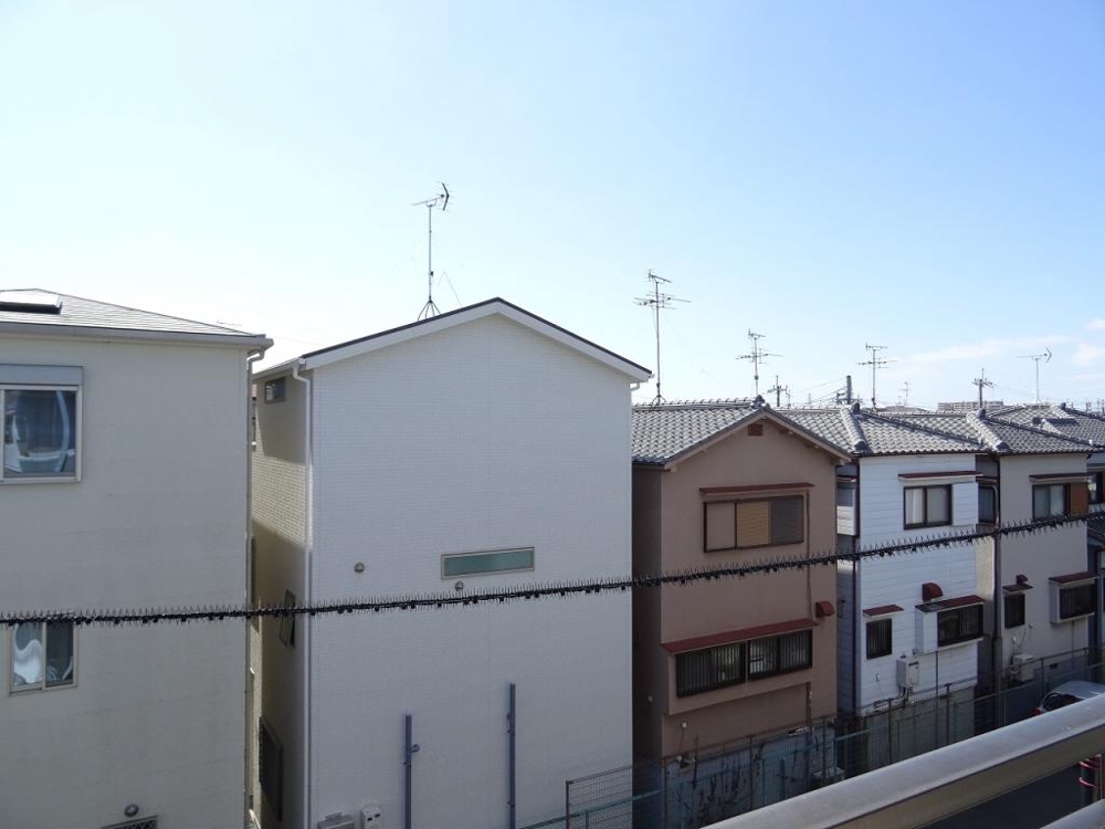 20/30 その他画像