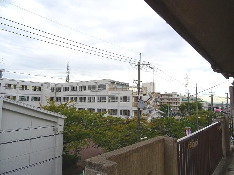 20/30 その他画像