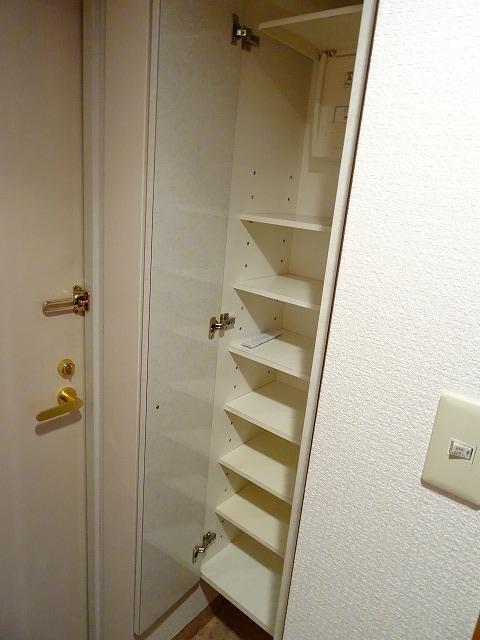 20/30 その他画像