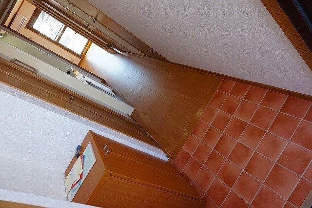 20/30 その他画像