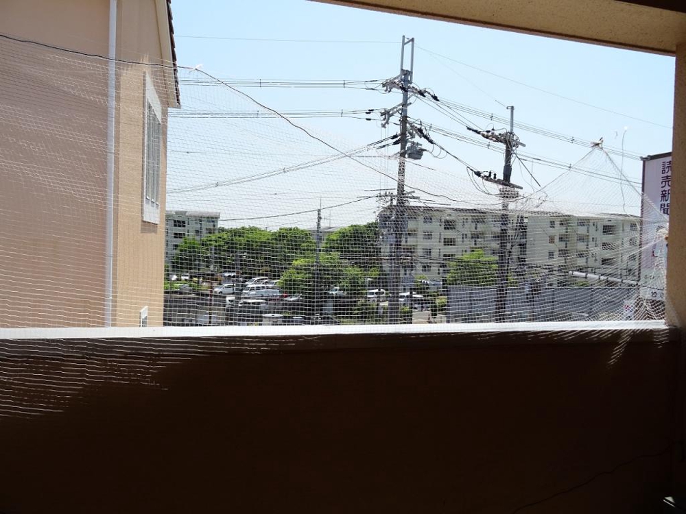 19/30 その他画像