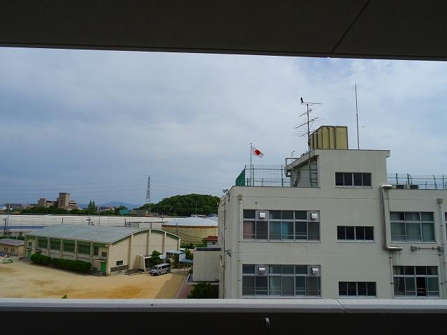 20/30 その他画像