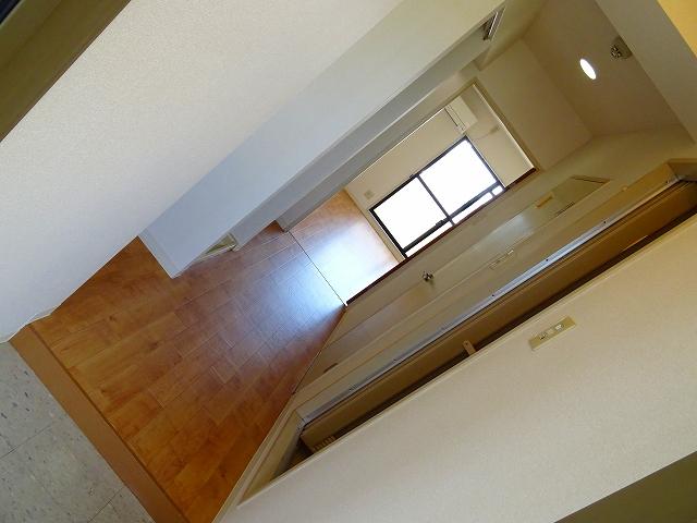 28/30 その他画像