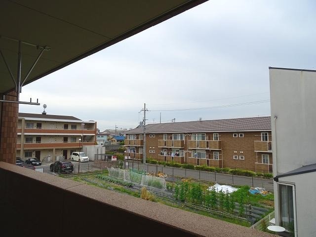 20/30 その他画像