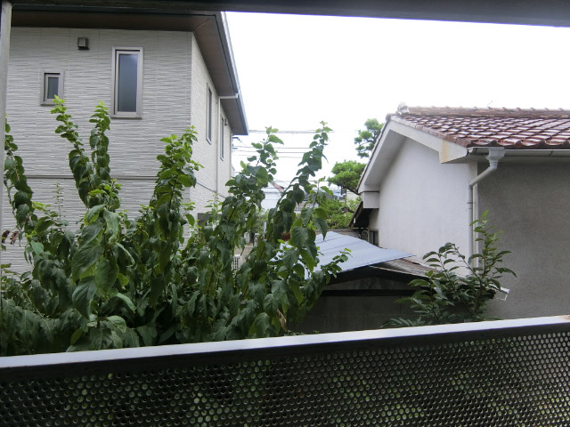 22/30 その他画像