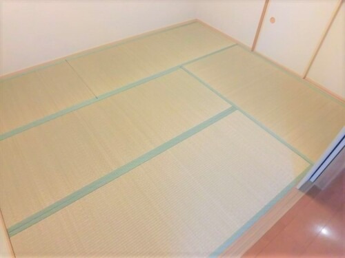 19/25 その他画像