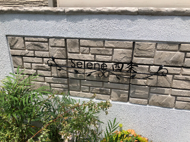 5/14 その他画像