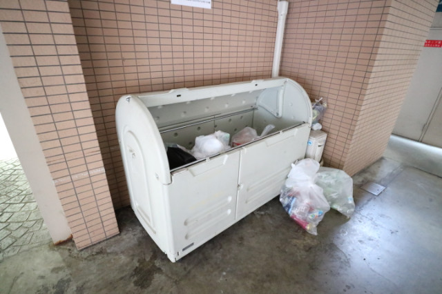 15/19 その他画像