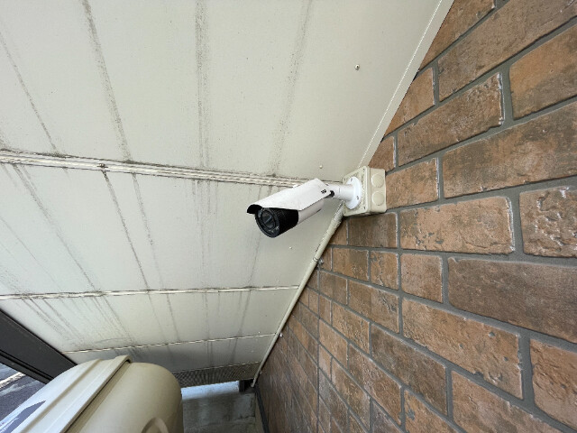 19/24 その他画像