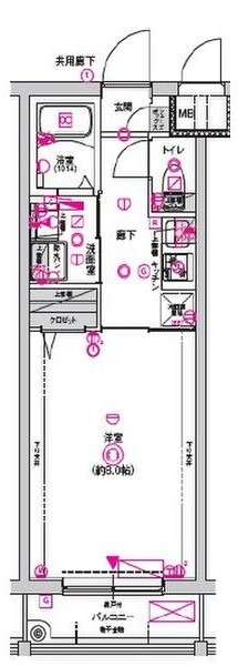 壬生松原町の完工年月(2025年9月)築の賃貸マンションの間取り